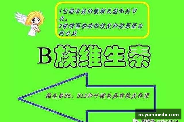 认识v体育